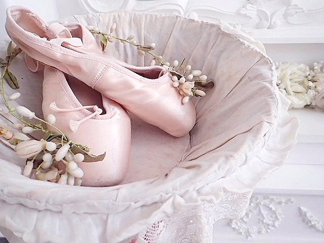 薔薇刺繍 ホワイトワークレースのパニエ - アンティークショップ Eglantyne（エグランティーヌ）